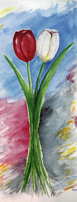 FL1-538C 20X49 CM