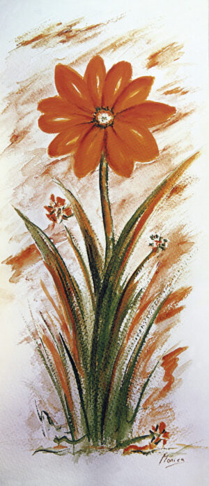 FL1-540 22X49 CM