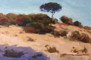 PA-560 30X50 CM