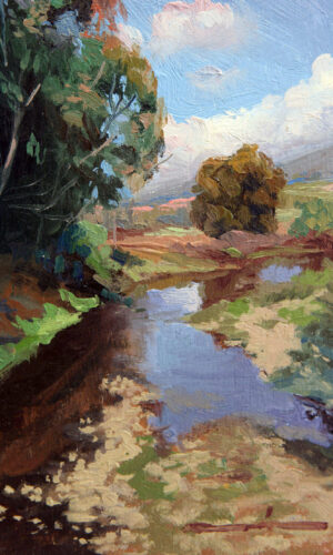 PA-561  30X50 CM