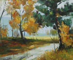 PA-613 50X60 CM