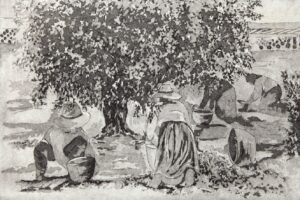 CL-619 24X34 CM