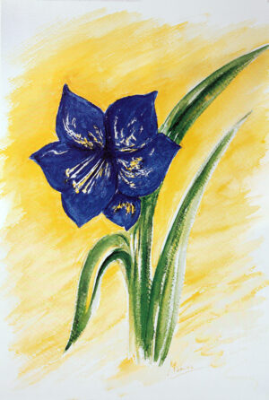FL1-062 34X49 CM