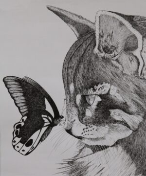 CL-642 50X60 CM