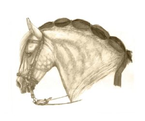 TA-002 35X50 CM
