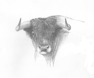 TA-005 35X50 CM