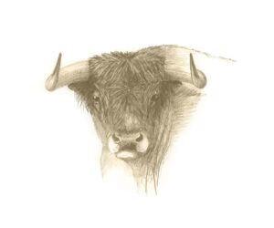 TA-006 35X50 CM