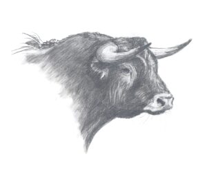 TA-007   35X50 CM
