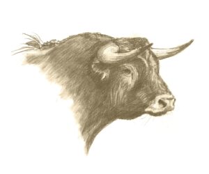 TA-008 35X50 CM
