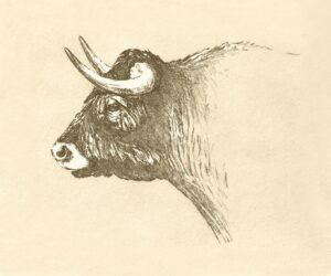 TA-015 35X50 CM
