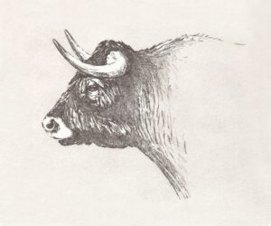 TA-016  35X50 CM