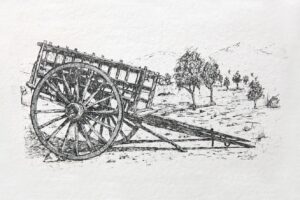 TA-021 24X34 CM