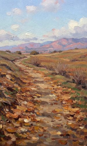 PA-563  30X50 CM
